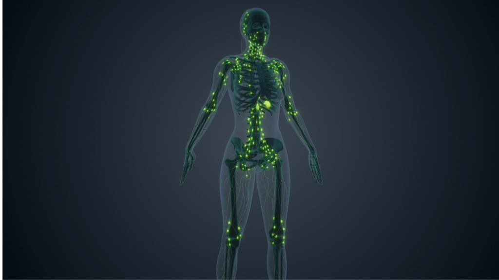 Wonders of the Lymphatic system
