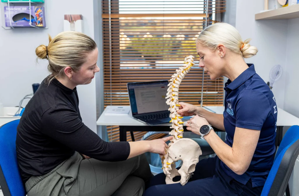 Max Physio 419